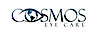 Cosmos Eye Care logo