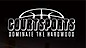 Courtsports logo