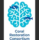 Coral Restoration Consortium logo