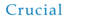 Crucial Information Technologies Pvt logo