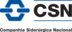 CSN logo