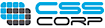 Css logo