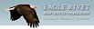 Eagle Rivet Roof Service logo