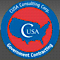 CUSA Consulting logo