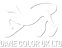 Dane Color logo