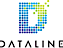 Dataline logo