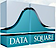 Data Square logo