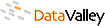 Data Valley logo