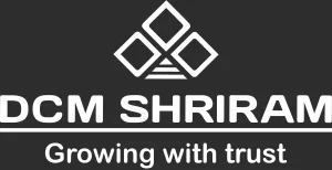 DCM Shriram logo