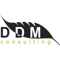 Ddm Consulting logo