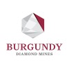 Dominion Diamond logo