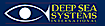 Deep Sea Systems Int''L logo