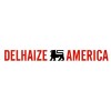 Delhaize America logo