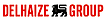 Delhaize Group logo