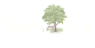 Dental Park logo