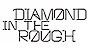 Diamond In The Rough logo