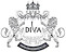 Diva Dubai Model Agency And Events logo