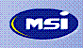 Dixie Iron Works, Ltd/Msi logo