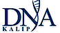 DNA Kalip Die Engineering logo