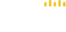 Dorsoo International logo