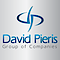 David Pieris Motor logo