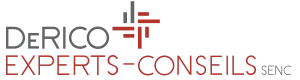 Derico - Experts-conseils logo