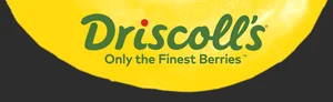Driscoll''s logo