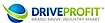 Driveprofit Limousine Marketing logo