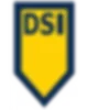 DSI Security Services logo