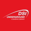 Dsi Underground Group logo