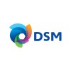 Dsm logo