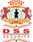 DSS Securitech Pvt logo