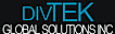 DivTek Global Solutions logo