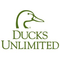 Ducks logo