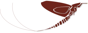 DUN Outdoors logo