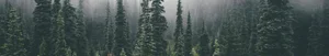 Direct West Natural Resources logo