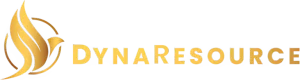 DynaResource logo