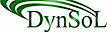 Dynsol logo