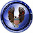 National Eagles and Angels Association logo