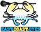 East Coast Dyes logo