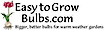 Easy to Grow Bulbs logo