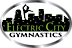 Electric City Gymnastics logo