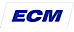 ECM Consultants logo