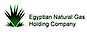 Egyptian Natural Gas Holding logo