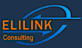 Elilink Consulting logo