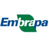 Embrapa logo