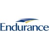 Endurance logo