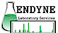 Endyne logo