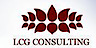 LCG Consulting logo