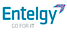 Entelgy Consulting logo